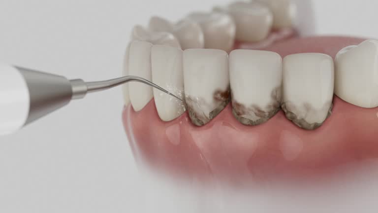 Reliable Dental contractor in Sykesville, MD by Dentist Open Now